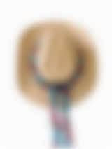 THE DANI COWBOY HAT